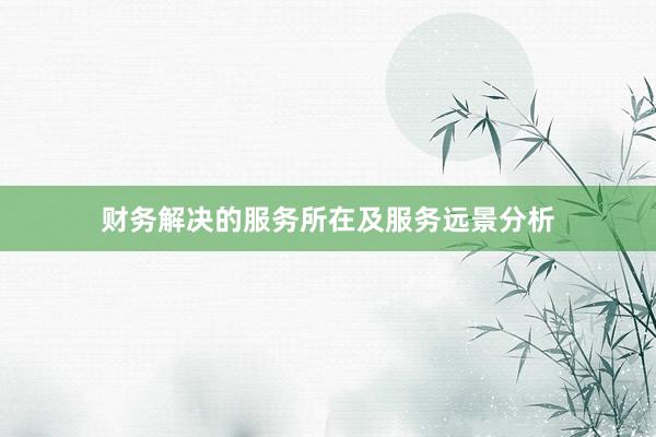 财务解决的服务所在及服务远景分析