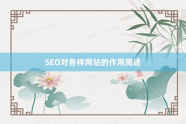 SEO对各样网站的作用简述