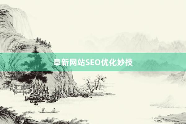 阜新网站SEO优化妙技
