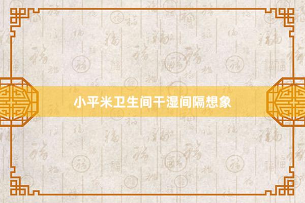 小平米卫生间干湿间隔想象